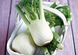 fennel